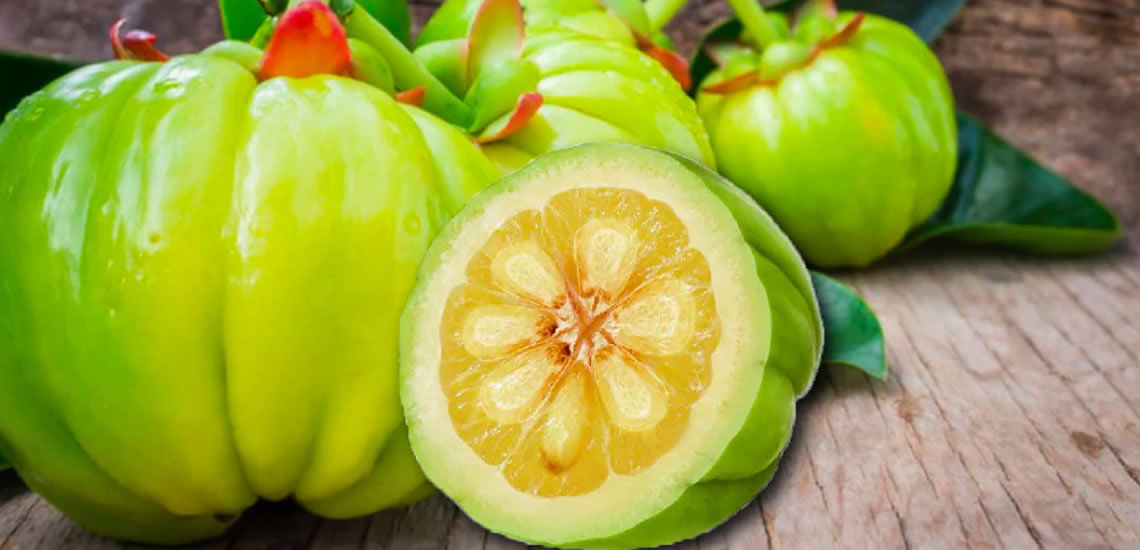 Plody Garcinia Cambogia – účinky na hubnutí a metabolismus